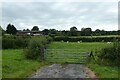 Field beside the A55