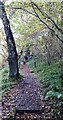 The path up the Nethan Gorge