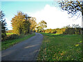 Country lane between North Piddle and Naunton Beauchamp