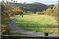 Cycle way in country park