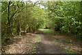 Footpath to West Chevin Rd