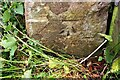 Benchmark on gatepost on south side of Hills Lane