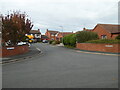 SO8551 : Teasel Close, St Peter the Great, Worcester by Chris Allen