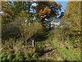 A path at Highdykes