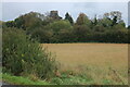 Field by Cross End, Bolnhurst