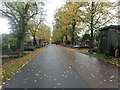 TQ2577 : The main avenue in Brompton Cemetery by Marathon