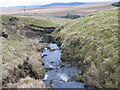 Tributary of Black Burn below Braid Knowe