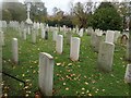 TQ2577 : The Brigade of Guards Plot, Brompton Cemetery by Marathon