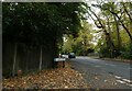 Looking from Pyrford Woods, across the B382 towards Blackdown Avenue