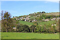View from Woodchester