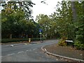 Looking from Lincoln Drive into Old Woking Road