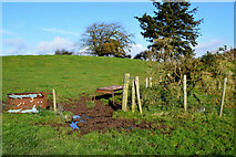 H5371 : Muddy between fields, Bancran by Kenneth  Allen