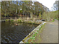 Etherow Country Park