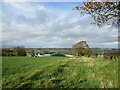 Farmland at Hazeldean