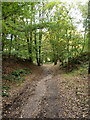 Bridleway and Heart of England Way. near Brocton