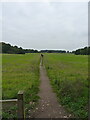 Footpath to Walton on the Hill