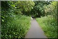 Cycle path, Boleside Road