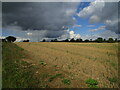 Stubble field near Pytchley Grange