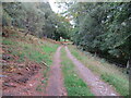 NH9444 : Woodland track leading down to Daltra and the River Findhorn by Peter Wood