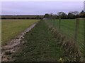 Footpath down towards the river