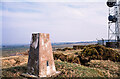 Trig point at How Hill