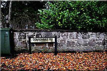 H4772 : Fallen leaves on the footpath along Donaghanie Road by Kenneth  Allen