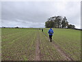 Walkers follow a footpath line across fields