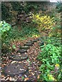 Stepping stones in Whinfell Quarry Gardens