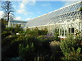 NO6011 : Glasshouses, Cambo by Richard Sutcliffe