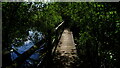 Boardwalk through wooded quarry workings at Brockton View