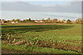 View of Langford and distant wind turbines