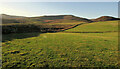NT9715 : Fields and moorland southwest of Hartside by Derek Harper