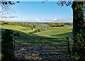 Farmland near Busbridge