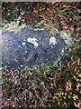 Damaged Rivet Benchmark Wether Hill, Haworth Moor