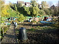 Allotments in Grays