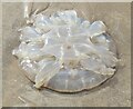 SS4090 : Rhossili Beach - Jellyfish by Colin Smith