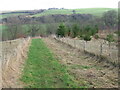 Path on Kerse estate towards River Nethan