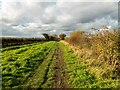 SK9565 : A restricted byway between Brant Road and North Hykeham, Lincoln by Oliver Mills