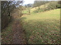 Path beside the River Nethan