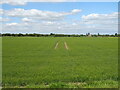 Crop field off Hurnbridge Road