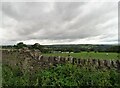 View to Spring Well