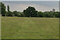 Footpath to Biddenden