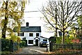 Borley Green: Houses where The Heath forks right from Wood Road