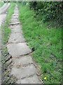 NZ6814 : Stone Trod entering Moorsholm by T  Eyre