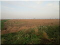 Stubble field off Mill Lane