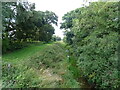 Track beside the Catchwater Drain