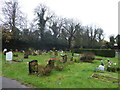 A wet, wild and windy Botley Cemetery (9)