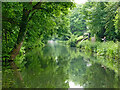 Canal near Newbridge in Wolverhampton