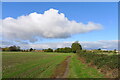 The Essex Way towards Little Oakley