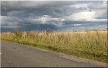TL6444 : Grey sky over the fields by David Howard